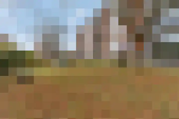 Proosdijerveldweg 275 Ede thumbnail 29