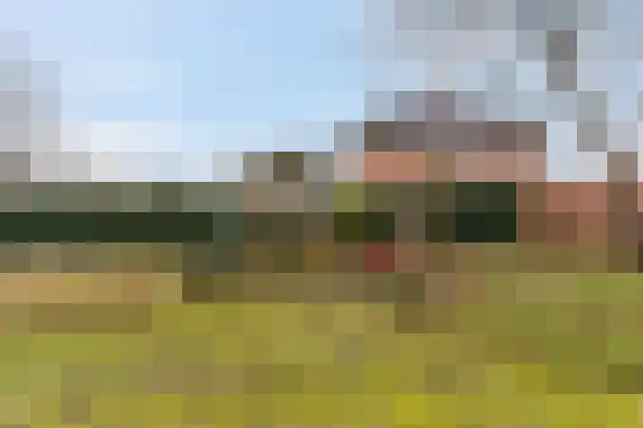 Proosdijerveldweg 275 Ede thumbnail 30