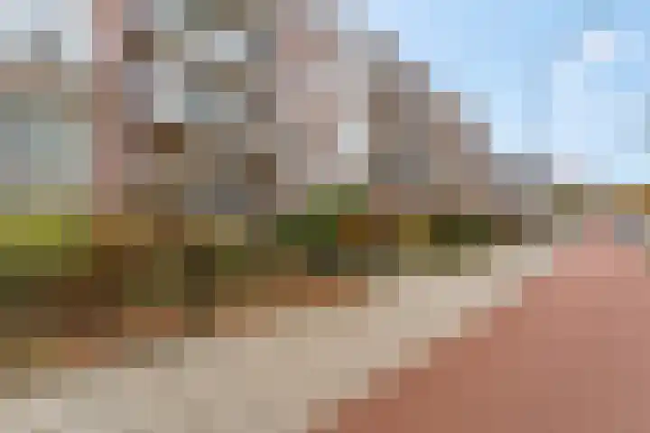 Proosdijerveldweg 275 Ede thumbnail 32