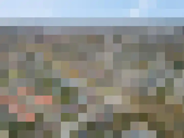 Proosdijerveldweg 275 Ede thumbnail 35