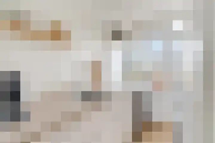 Proosdijerveldweg 275 Ede thumbnail 9
