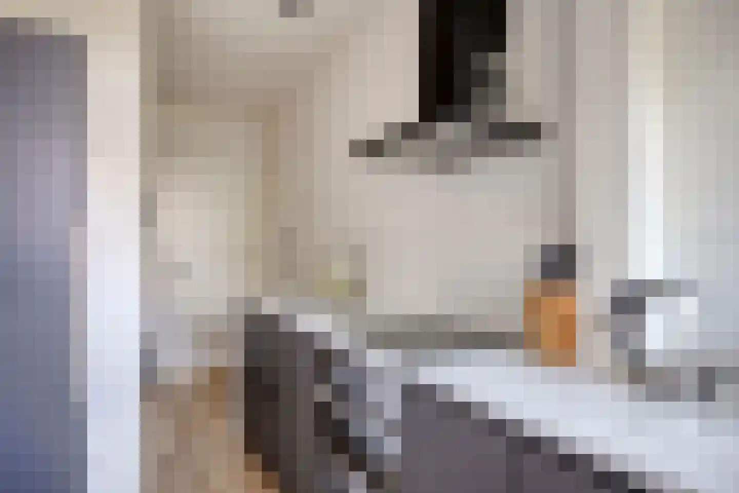 Proosdijerveldweg 289 Ede thumbnail 15