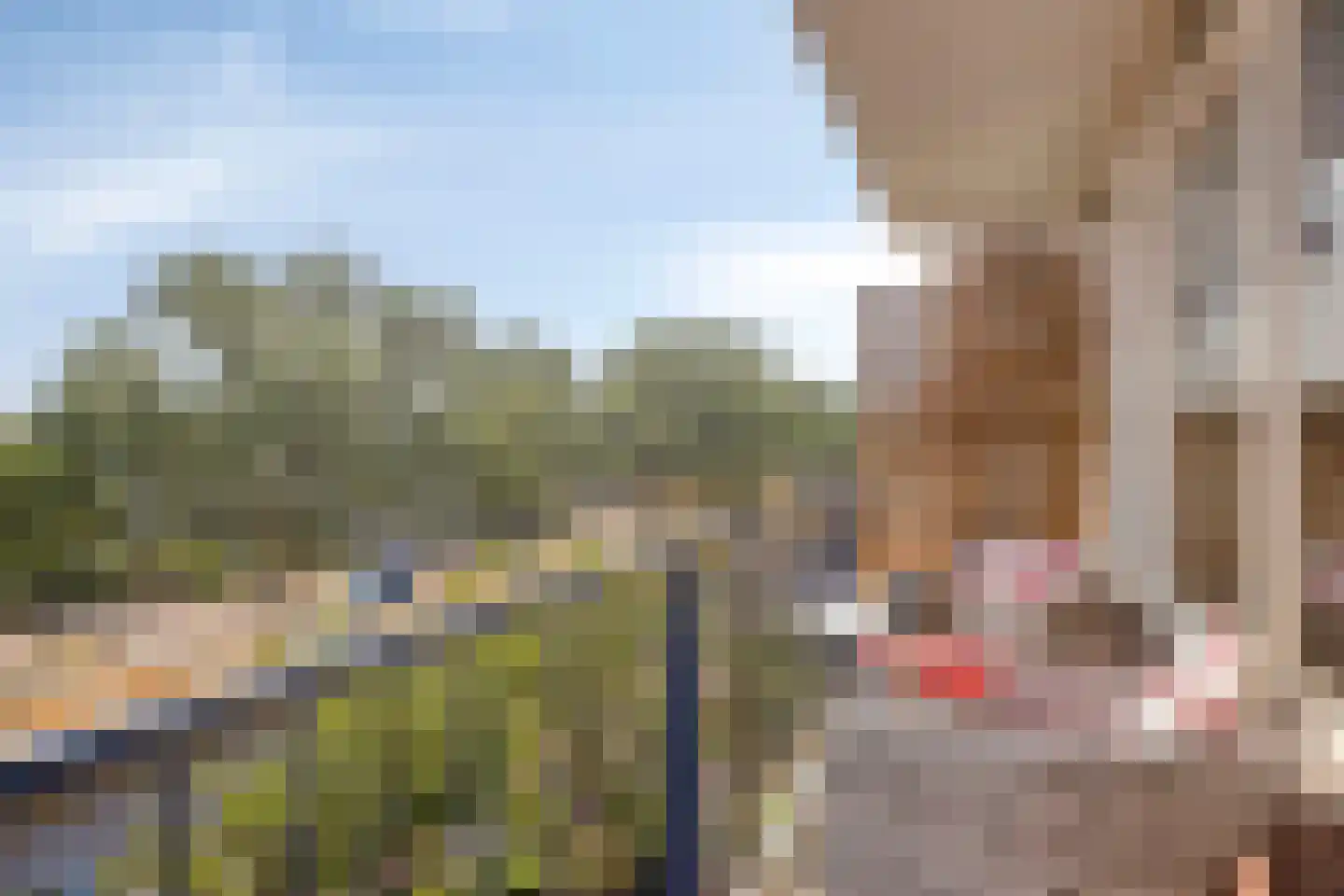Proosdijerveldweg 289 Ede thumbnail 20