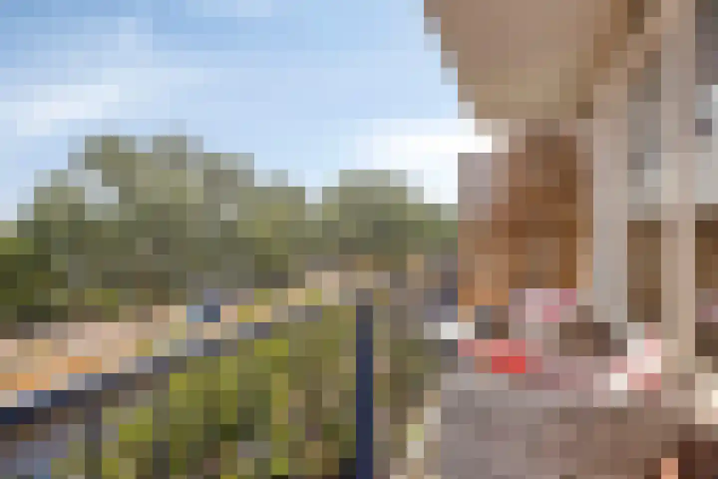 Proosdijerveldweg 289 Ede thumbnail 21