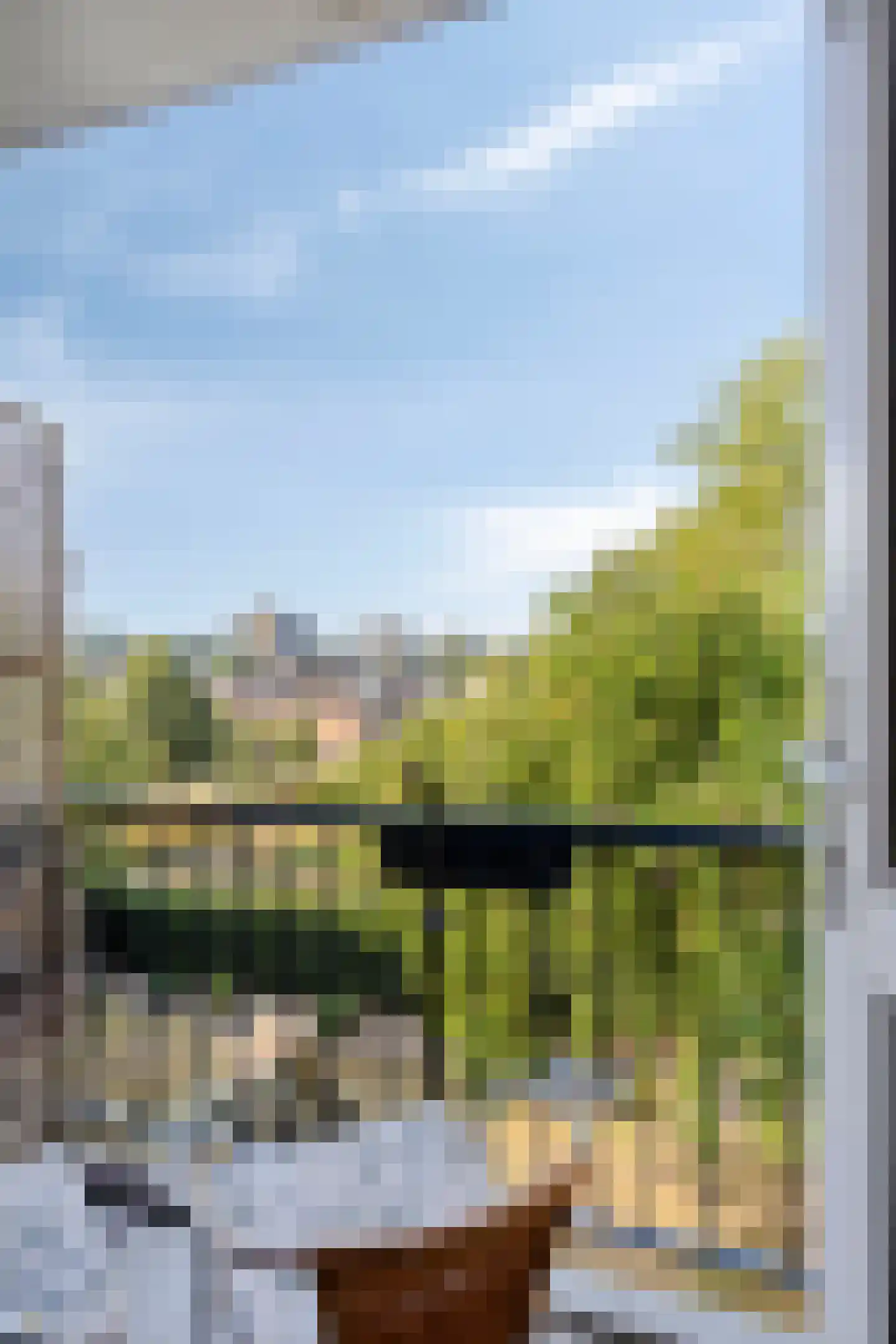 Proosdijerveldweg 289 Ede thumbnail 22