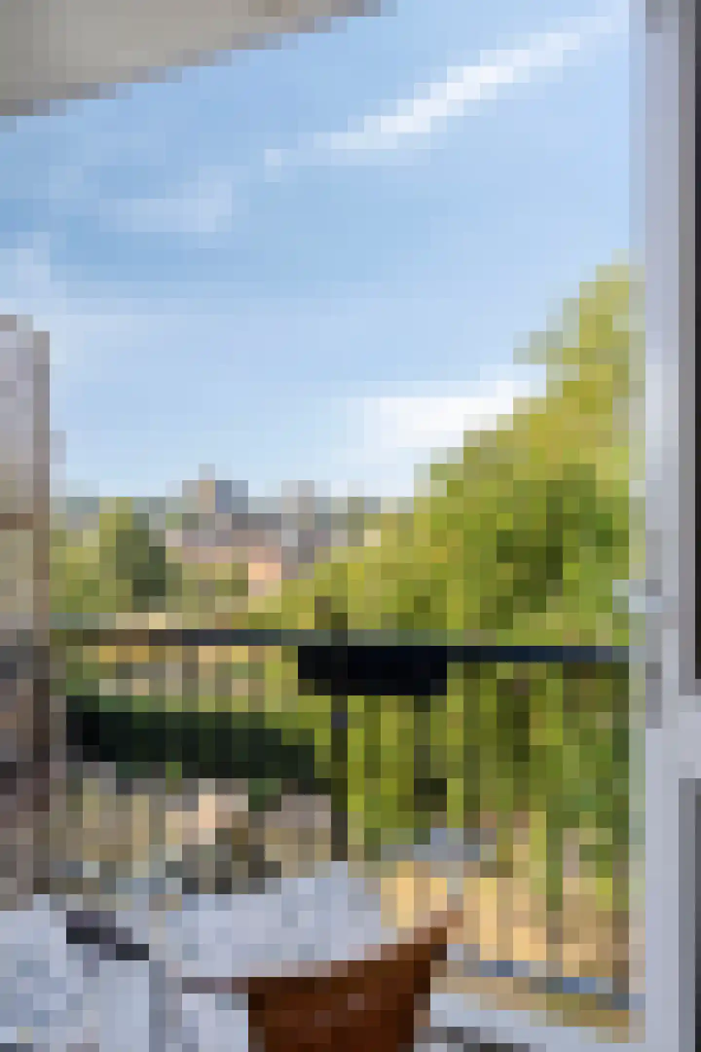 Proosdijerveldweg 289 Ede thumbnail 23
