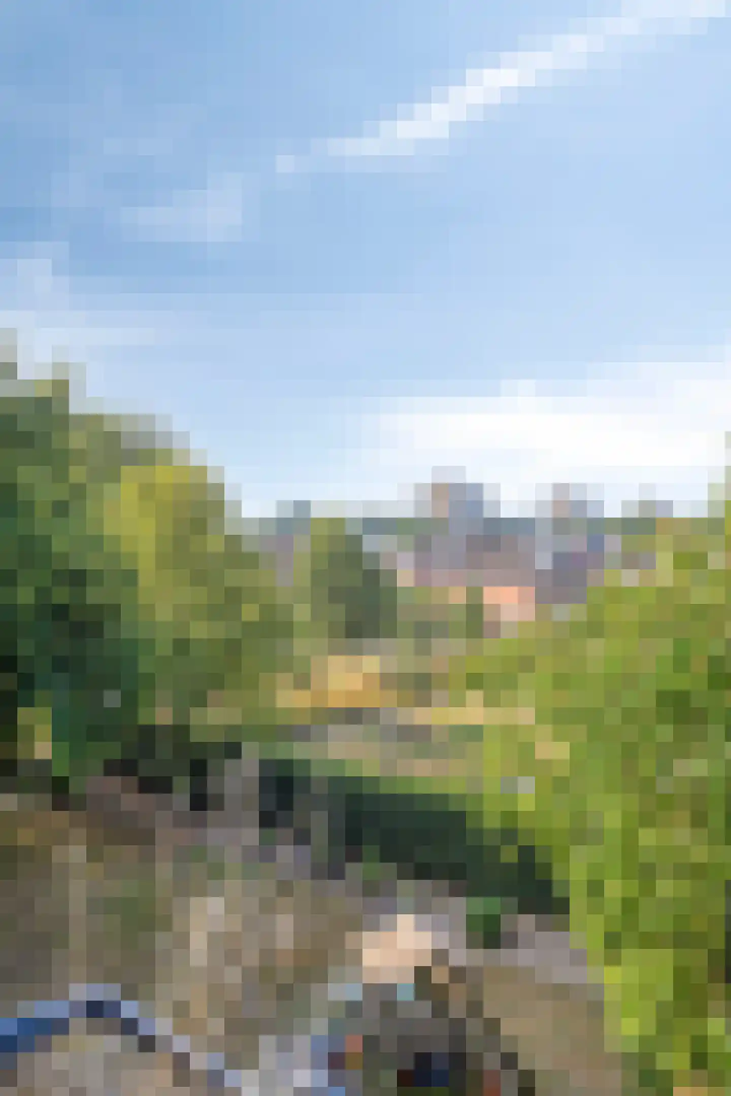 Proosdijerveldweg 289 Ede thumbnail 23