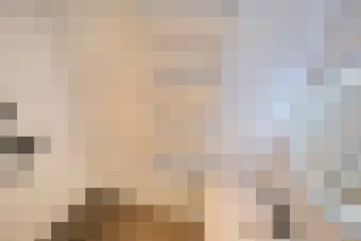 Proosdijerveldweg 293 Ede thumbnail 15