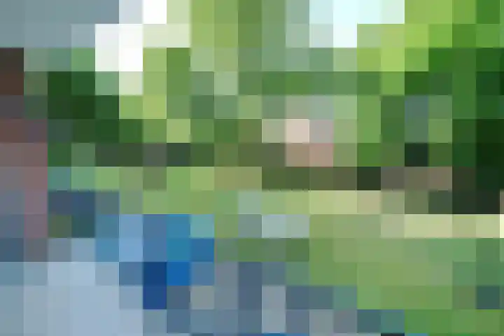 Proosdijerveldweg 293 Ede thumbnail 17