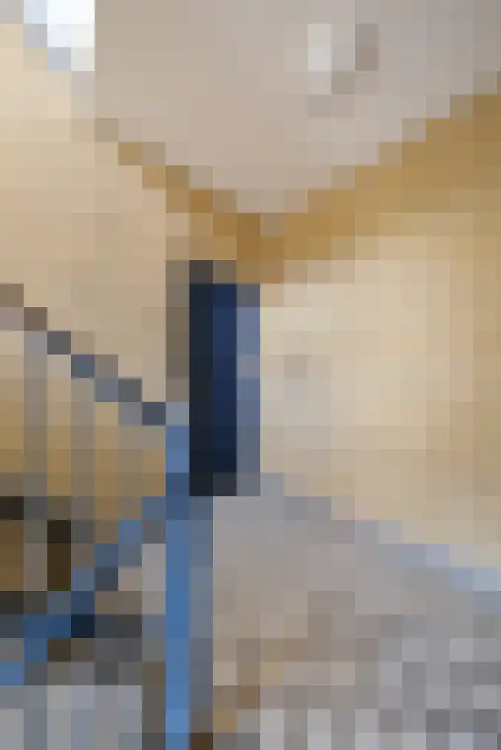 Proosdijerveldweg 293 Ede thumbnail 19