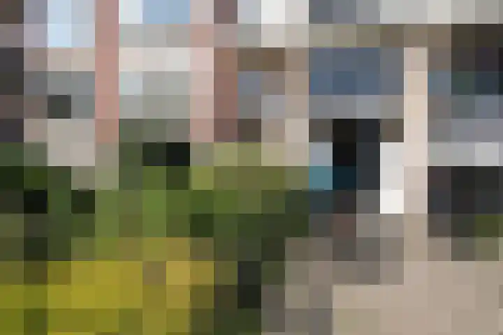 Proosdijerveldweg 293 Ede thumbnail 20