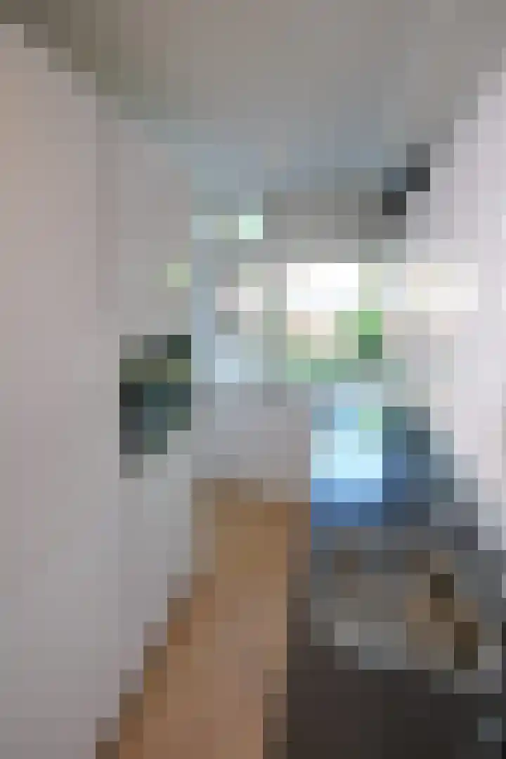 Proosdijerveldweg 293 Ede thumbnail 9