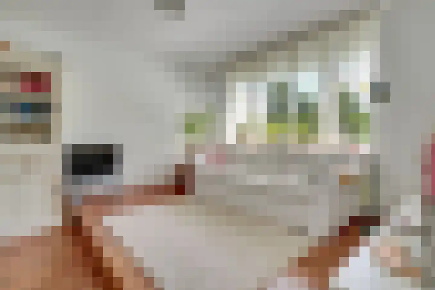 Proosdijland 9 Vinkeveen thumbnail 10