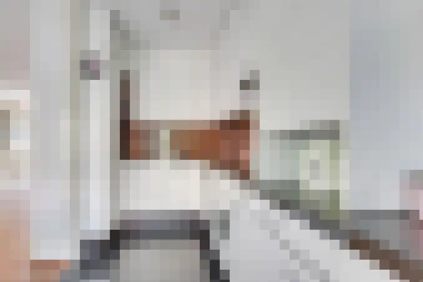 Proosdijland 9 Vinkeveen thumbnail 14