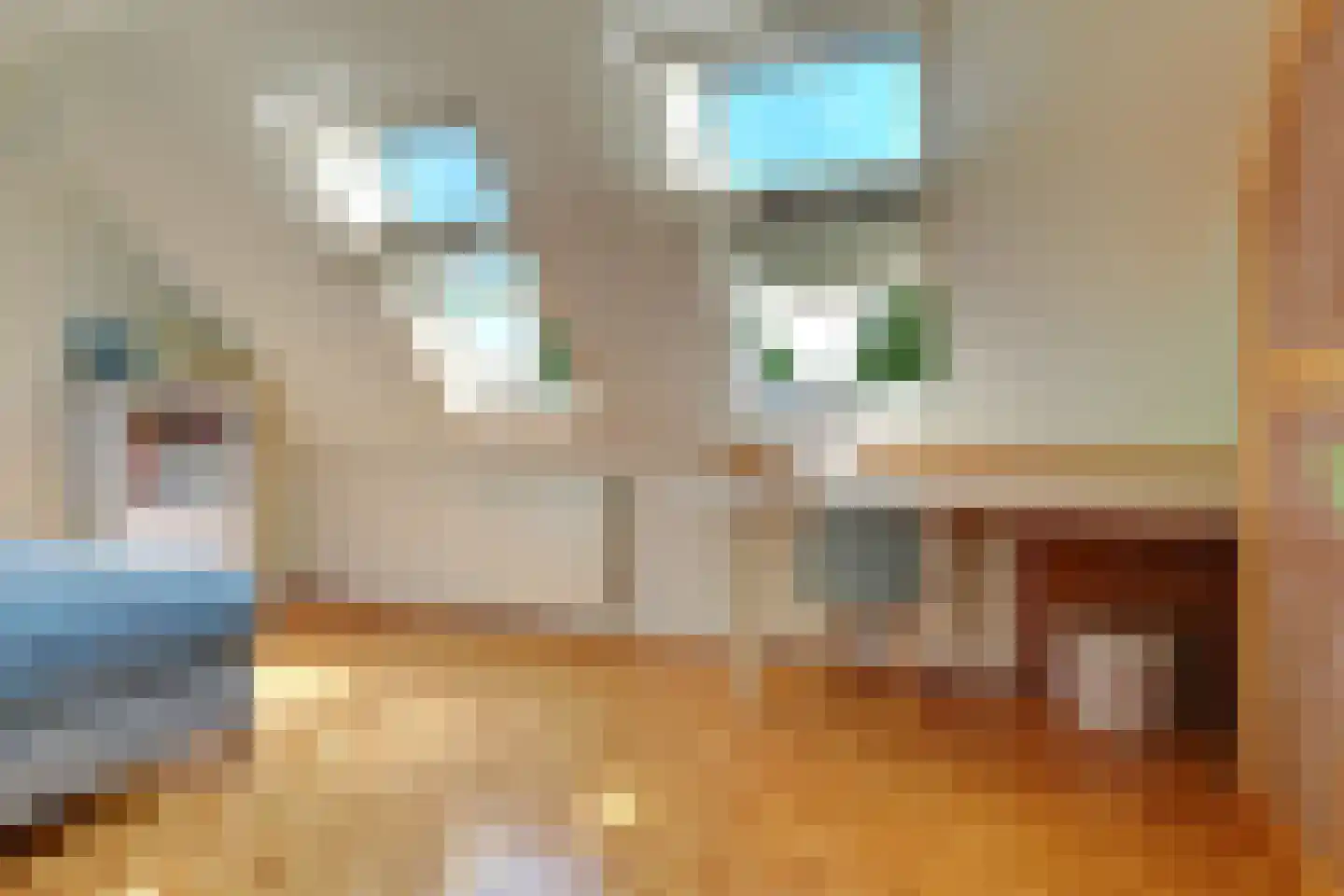 Proosdijland 9 Vinkeveen thumbnail 28