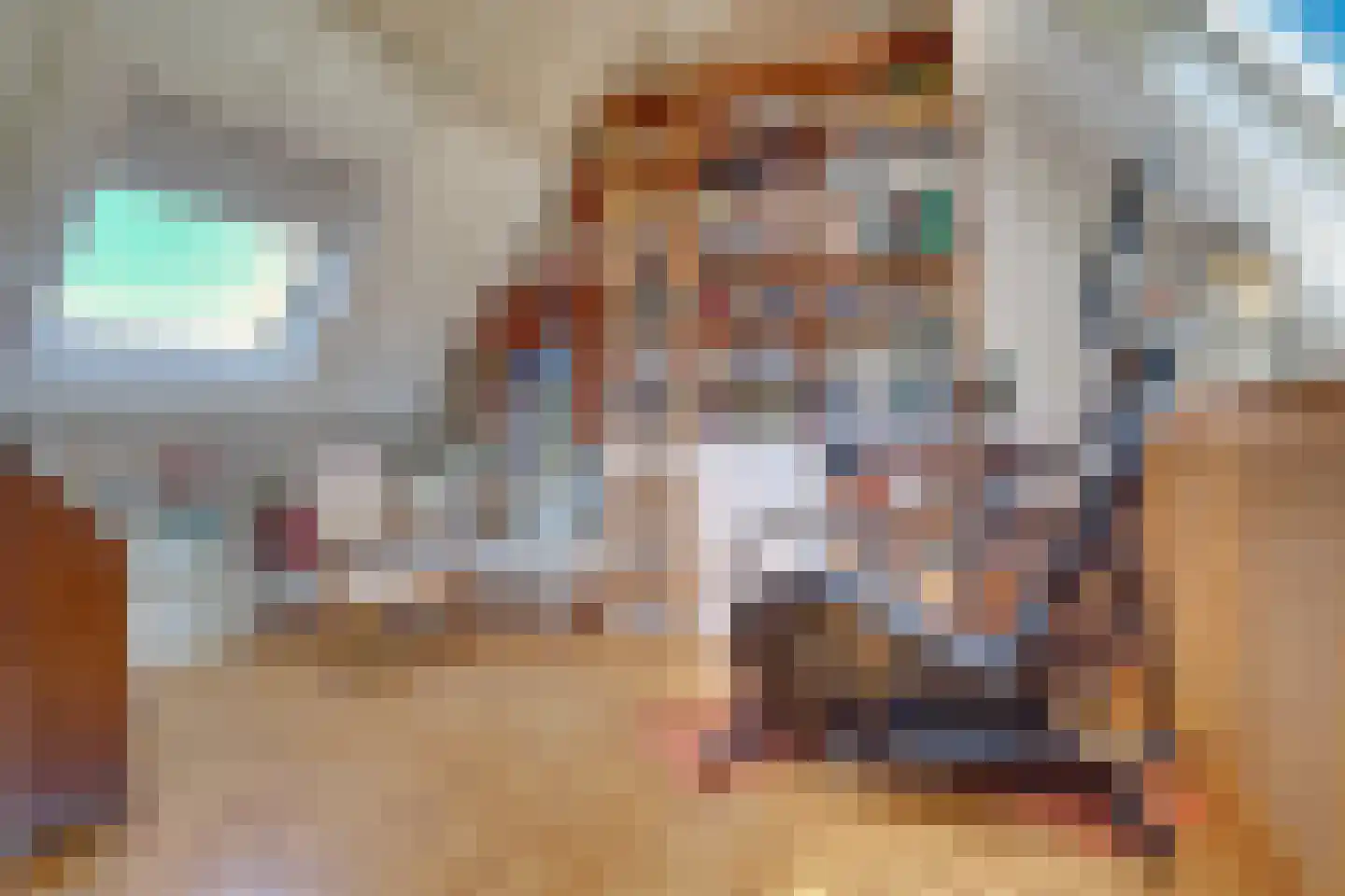 Proosdijland 9 Vinkeveen thumbnail 34