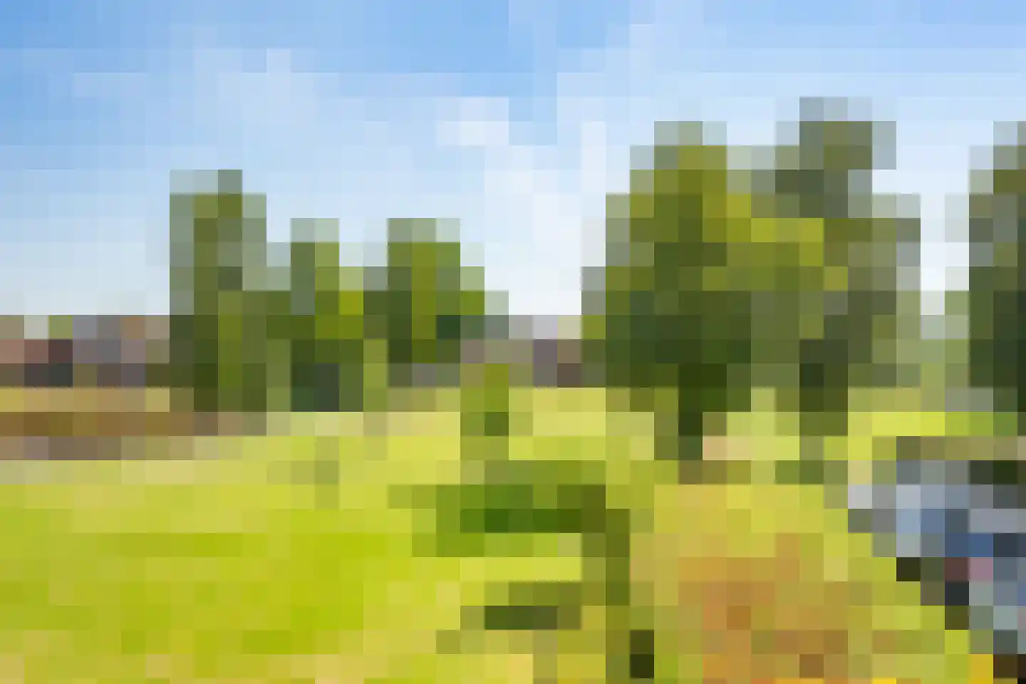 Proosdijland 9 Vinkeveen thumbnail 41
