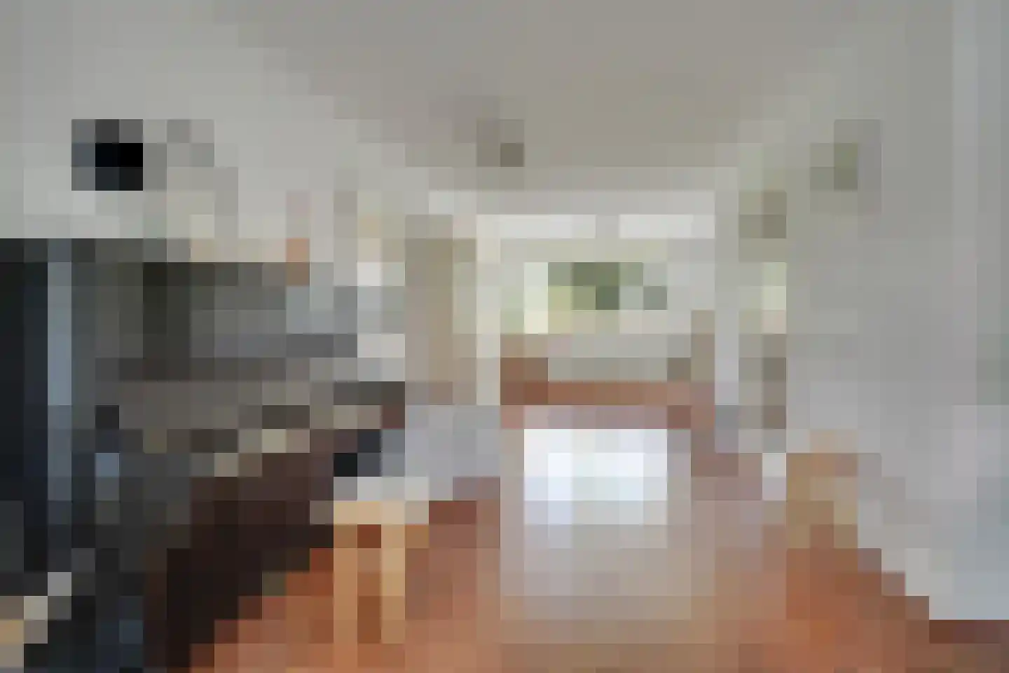 Proosdijland 9 Vinkeveen thumbnail 5