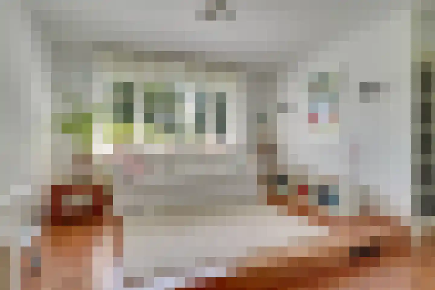 Proosdijland 9 Vinkeveen thumbnail 8
