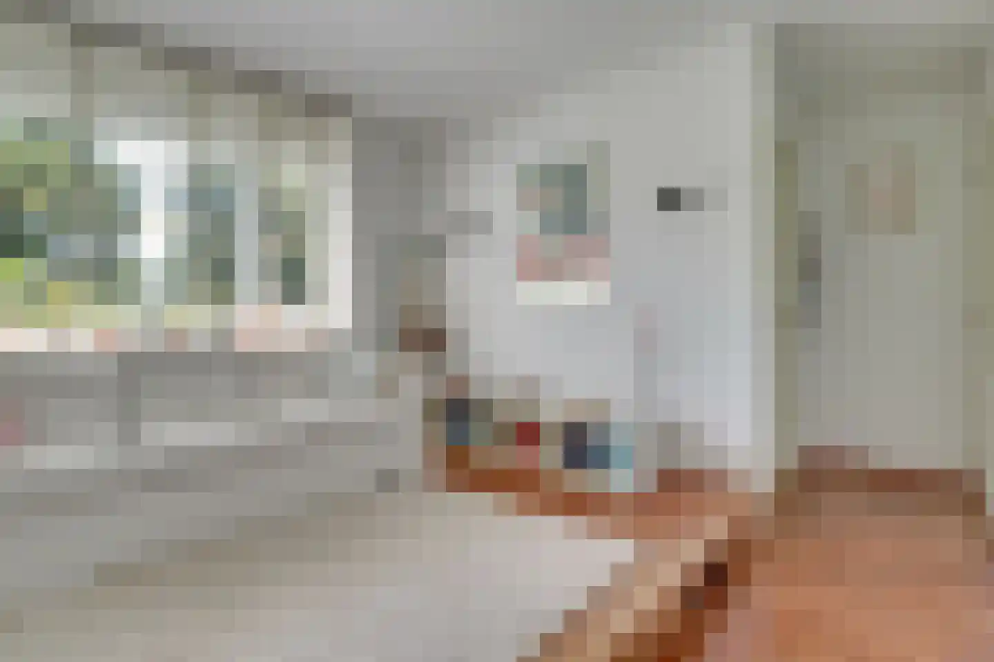 Proosdijland 9 Vinkeveen thumbnail 9