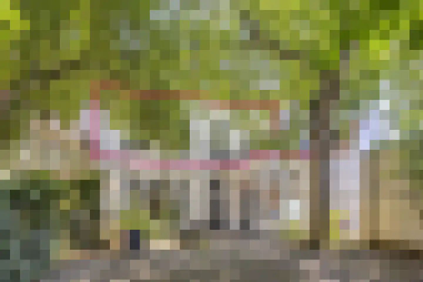Proosdijpassage 14 Deventer thumbnail 4