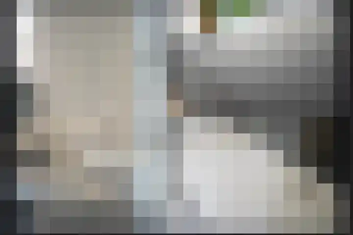 Proosdijstraat 8 Kerkdriel thumbnail 11