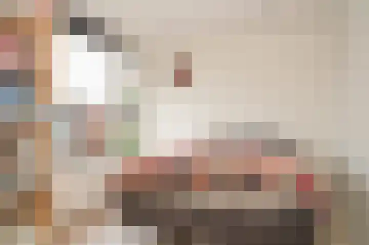 Proosdijstraat 8 Kerkdriel thumbnail 17