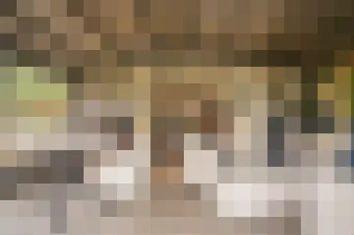 Proosdijstraat 8 Kerkdriel thumbnail 26