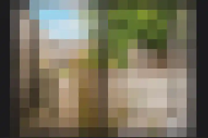 Proosdijstraat 8 Kerkdriel thumbnail 28