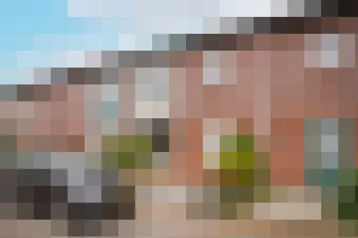 Proosdijstraat 8 Kerkdriel thumbnail 30