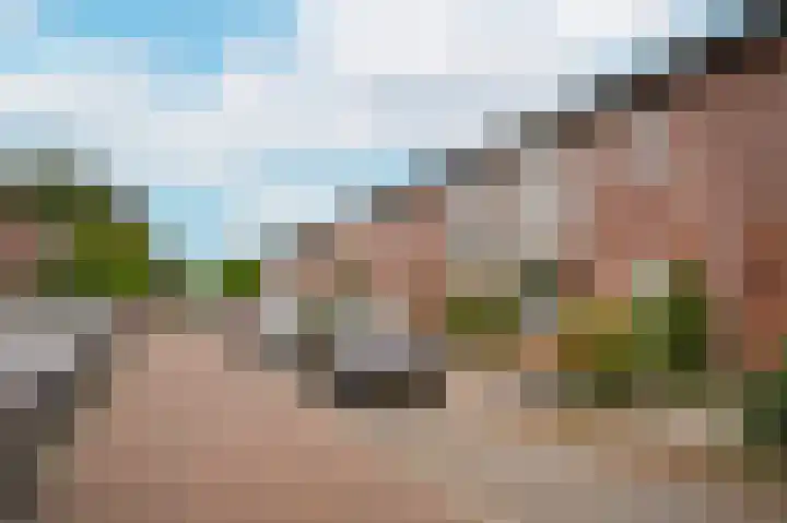 Proosdijstraat 8 Kerkdriel thumbnail 31