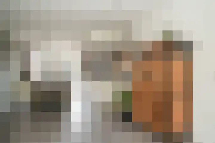 Proosdijstraat 8 Kerkdriel thumbnail 6