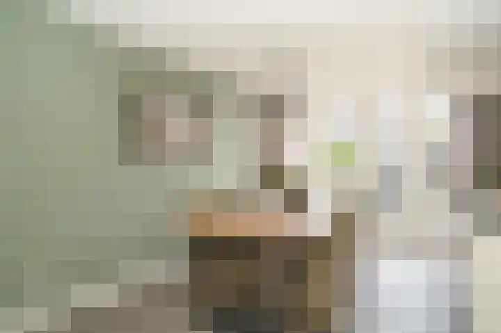Proosdijstraat 8 Kerkdriel thumbnail 7