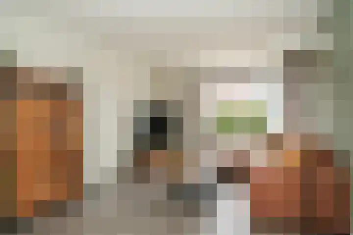 Proosdijstraat 8 Kerkdriel thumbnail 8