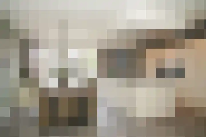 Proosdijstraat 8 Kerkdriel thumbnail 9