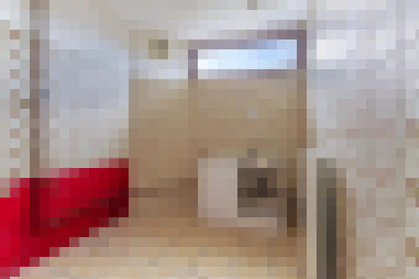 Proosdijweg 63 Maastricht thumbnail 16