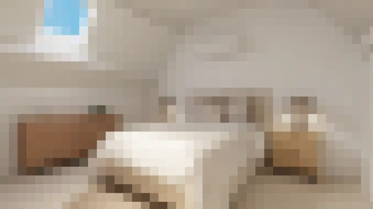 Proosdijweg 63 Maastricht thumbnail 30