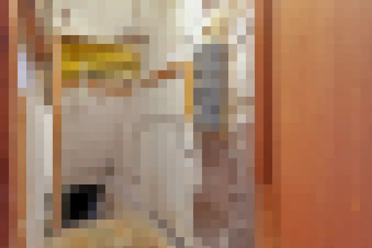 Proosdijweg 63 Maastricht thumbnail 31