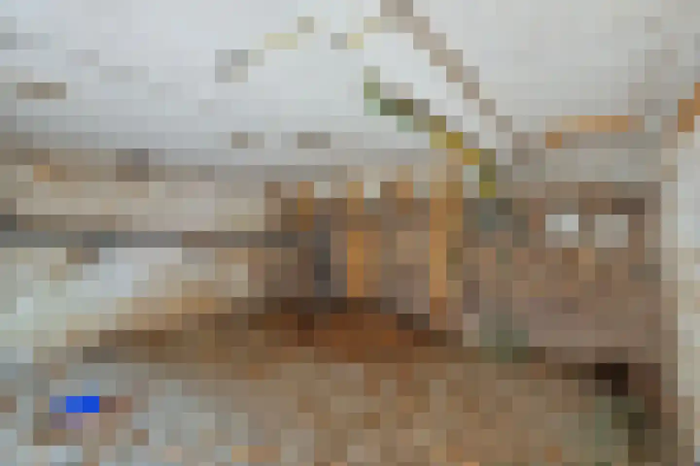 Proosdijweg 63 Maastricht thumbnail 32