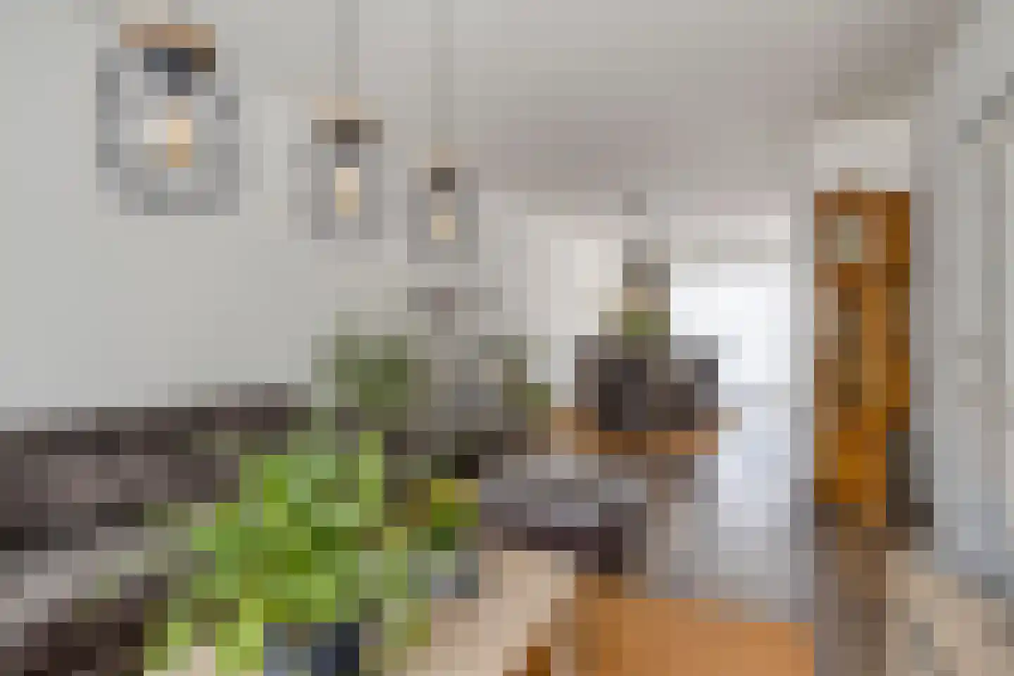 Proost Banensstraat 45 Maastricht thumbnail 6