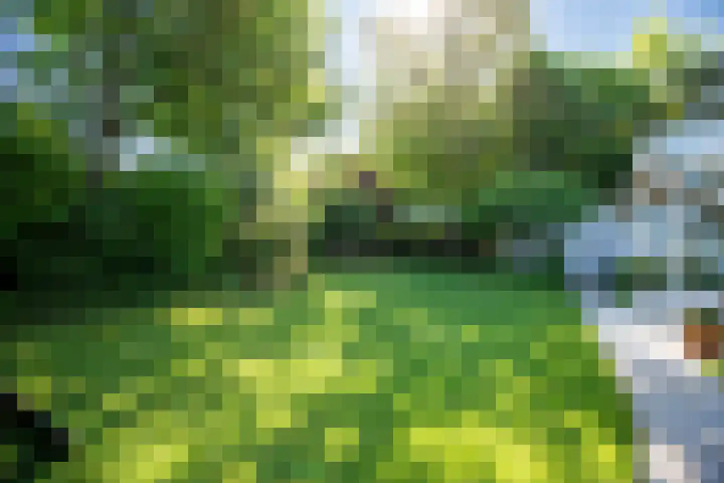 Proost de Beaufortstraat 30 Meerssen thumbnail 47