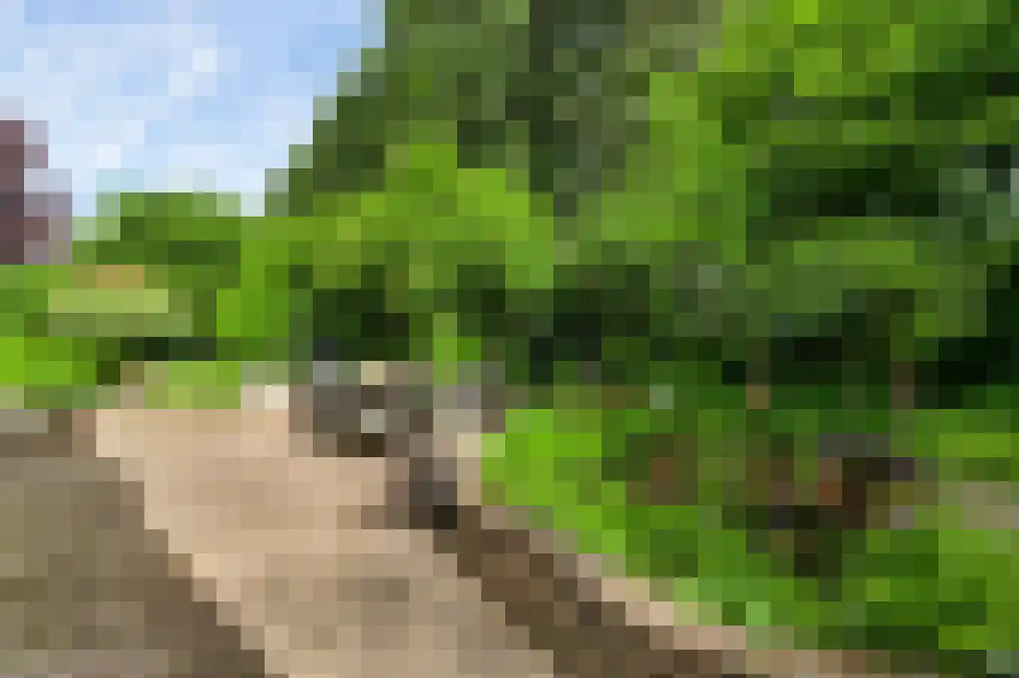 Proost de Beaufortstraat 44 Meerssen thumbnail 16