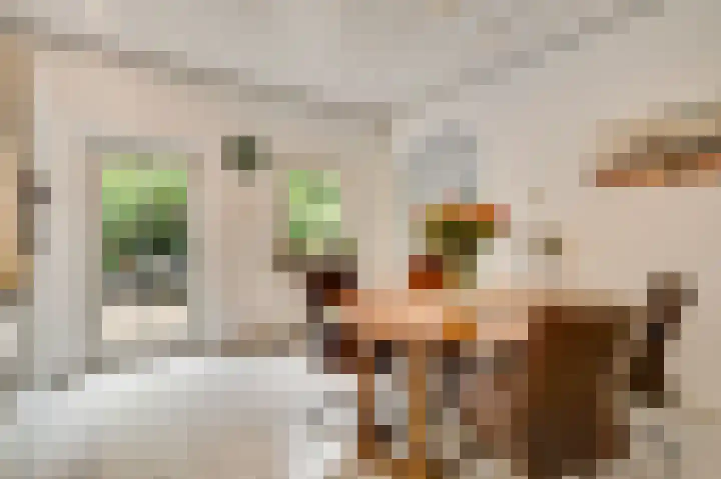 Proost de Beaufortstraat 44 Meerssen thumbnail 8
