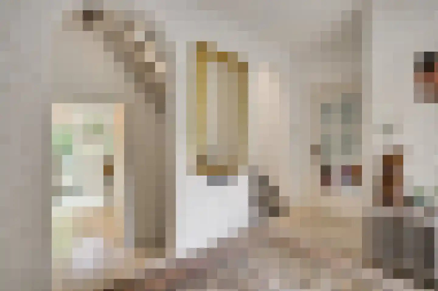 Proost de Beaufortstraat 44 Meerssen thumbnail 9