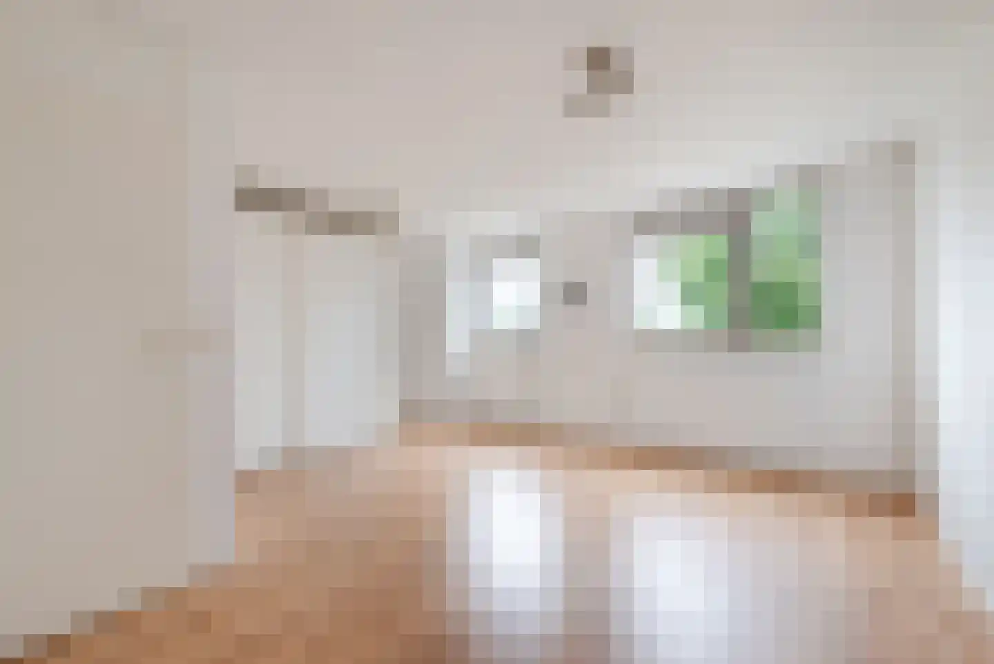 Proost de Beaufortstraat 51 Meerssen thumbnail 13