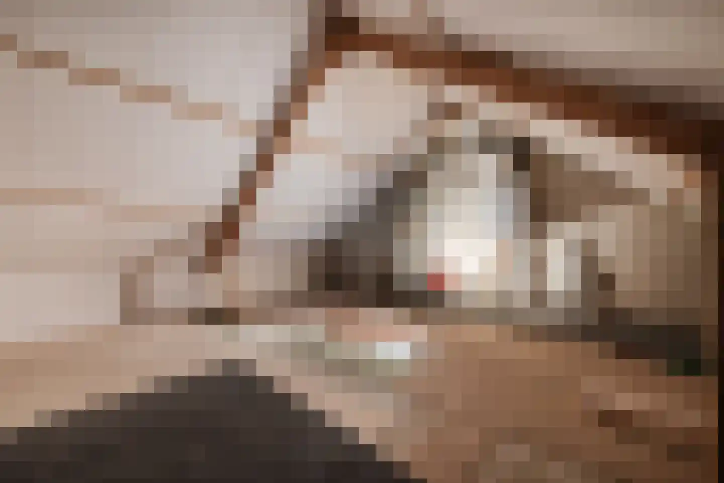 Proost de Beaufortstraat 51 Meerssen thumbnail 23