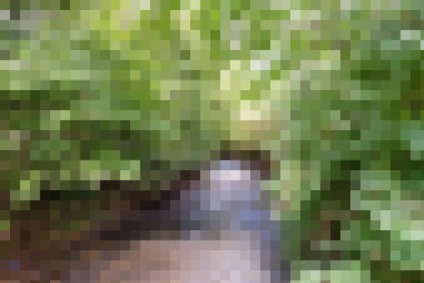 Proost de Beaufortstraat 51 Meerssen thumbnail 30