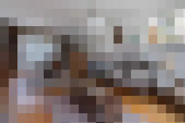 Proost Richardstraat 6 Meerssen thumbnail 6