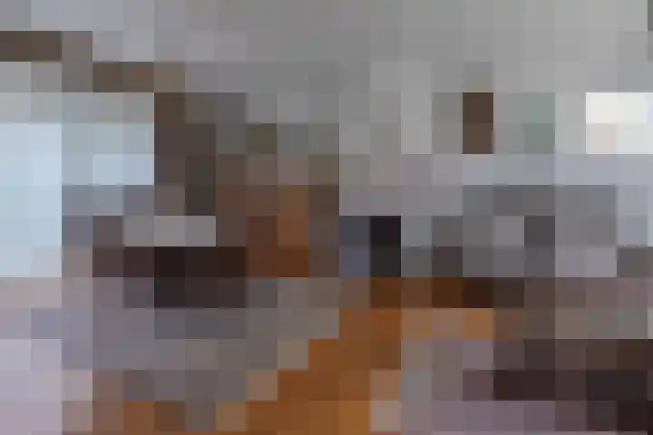 Proost Richardstraat 6 Meerssen thumbnail 7