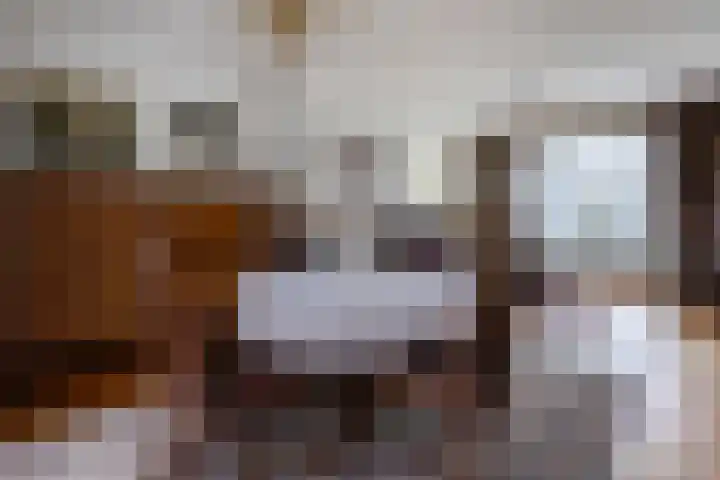 Proost Richardstraat 6 Meerssen thumbnail 9